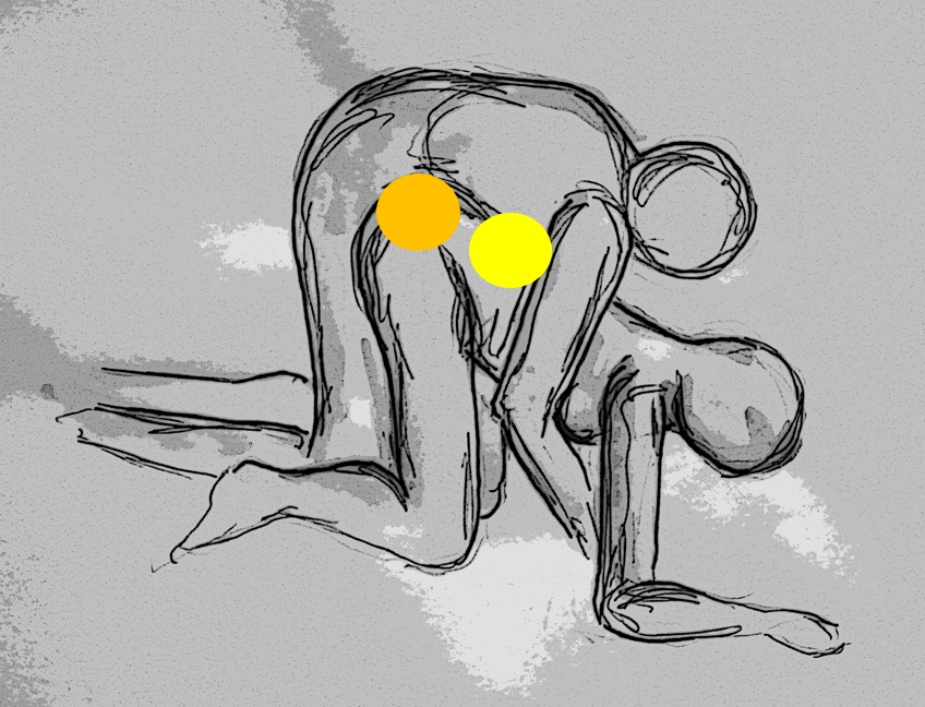 hondjes met energie-uitwisseling